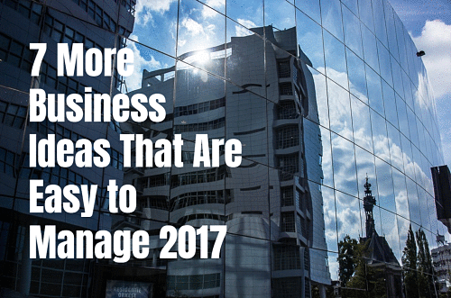 7 More Business Ideas That Are Easy to Manage 2017