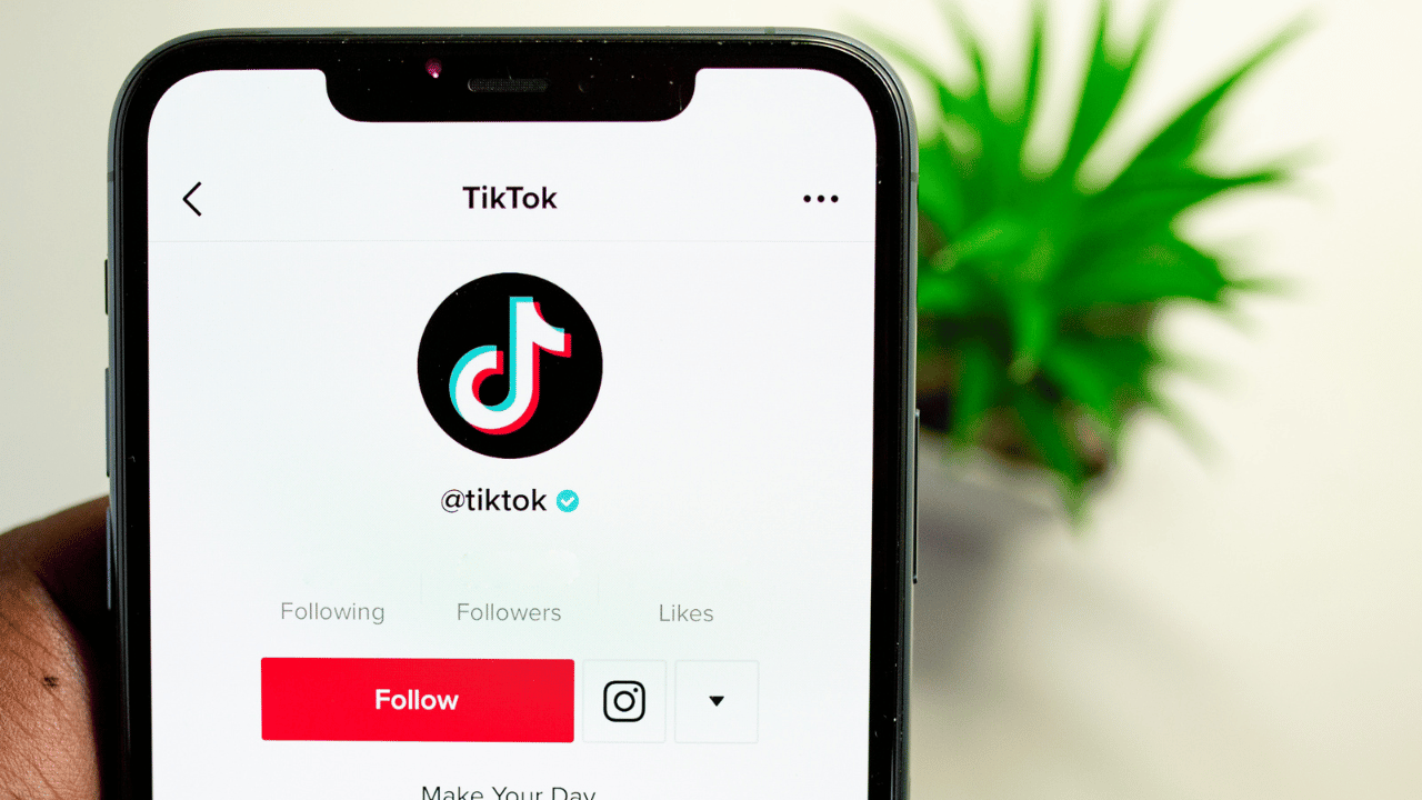 Make $100/Hour Watching TikTok Videos!